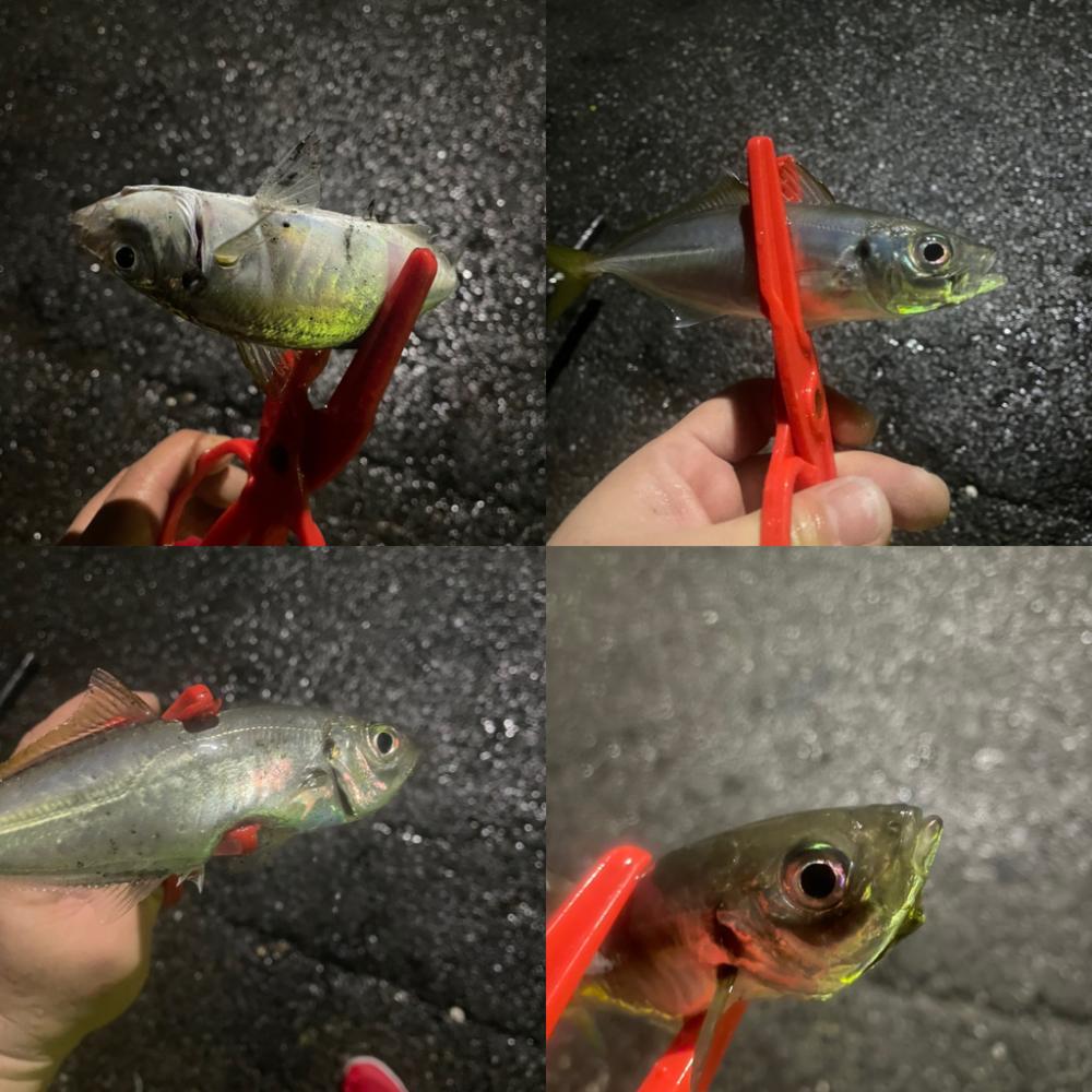 雨が止んでる事に気づいた時のウズウズ