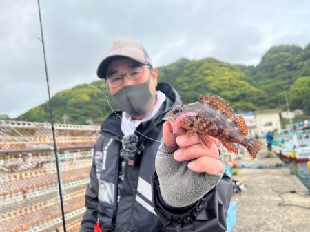 鯵道でアジングの道を極めろ！パート2