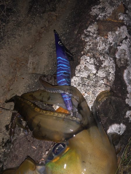 キロアップ第一号!!