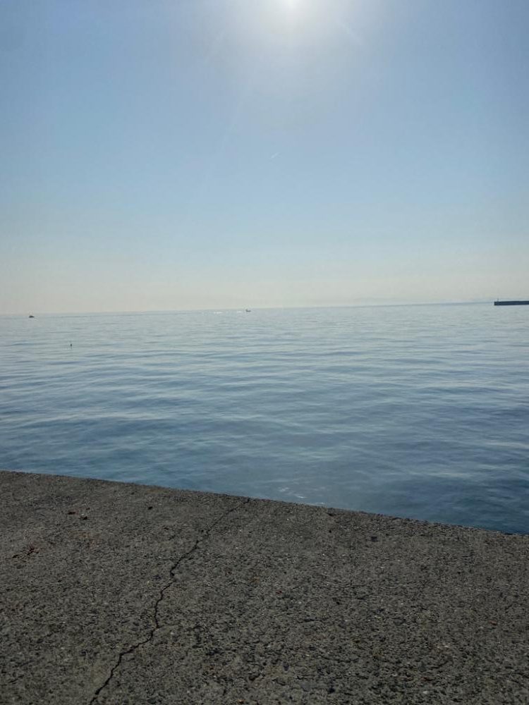 淡路島も開幕してました!