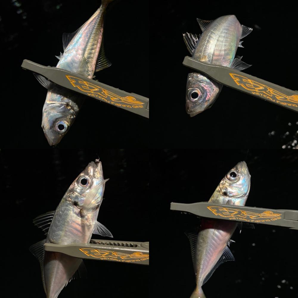 固定観念はダメですね。