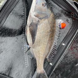 GFG 九州春季懇親（磯・投げ）釣り大会