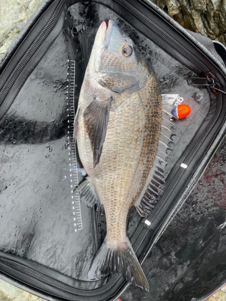 GFG 九州春季懇親（磯・投げ）釣り大会