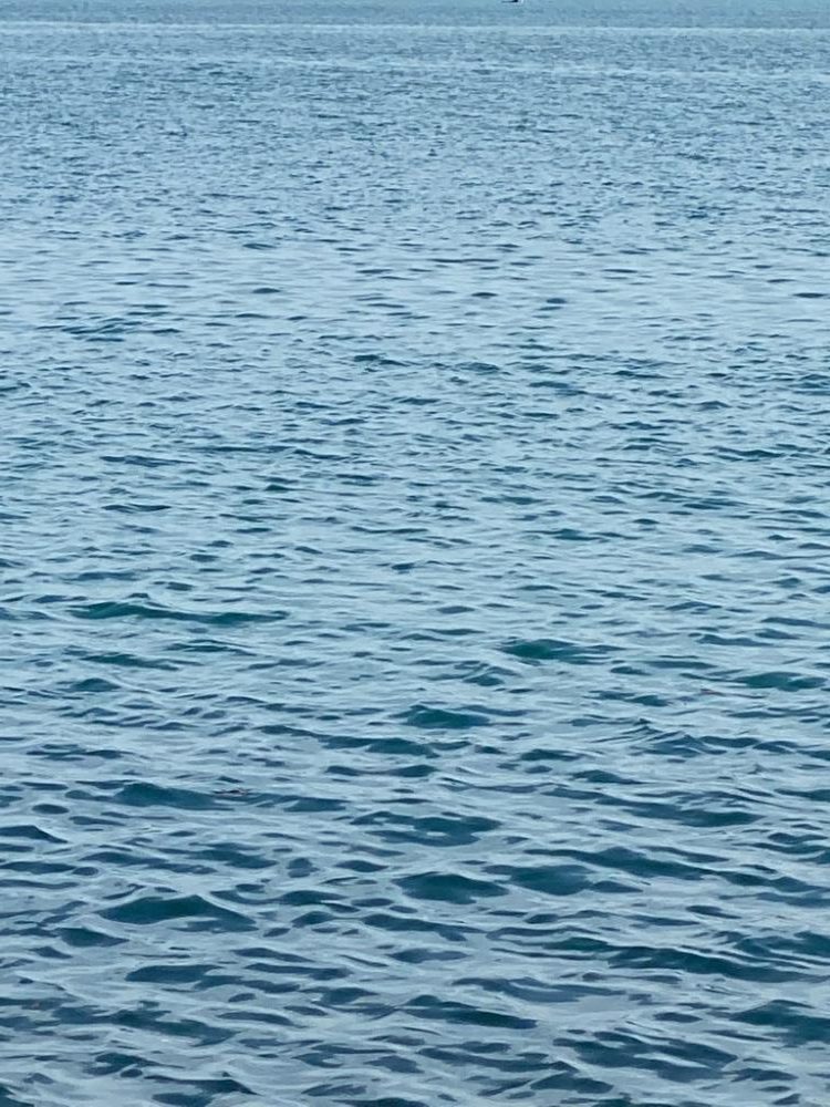 ショアジギング