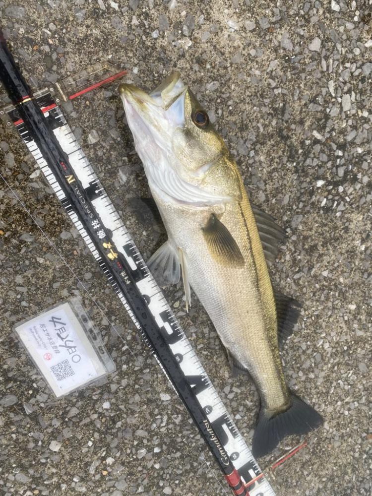 久しぶりの雨の釣り