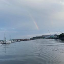 天気と風が全くちゃう（苦笑）