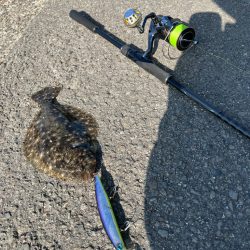 過去の経験を活かしてヒラメGET