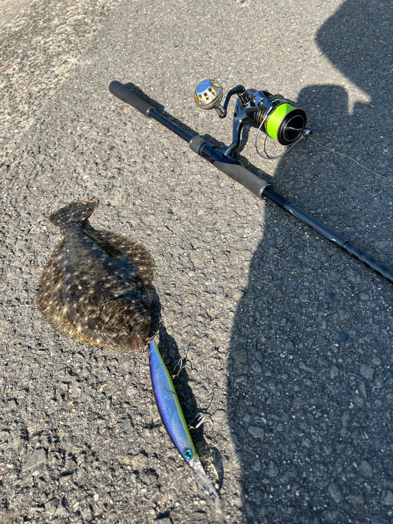 過去の経験を活かしてヒラメGET