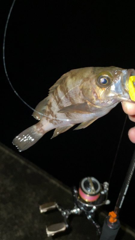 雨後はやっぱり渋い？