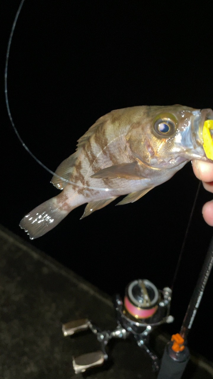 雨後はやっぱり渋い？