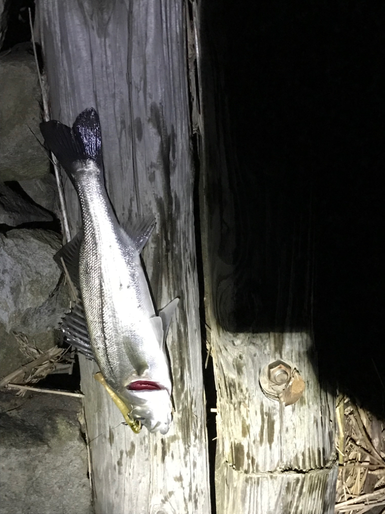 仕事終わりの。