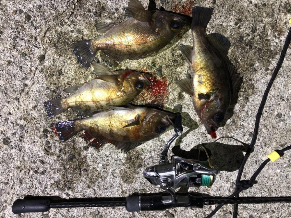 メバリングは奥深い