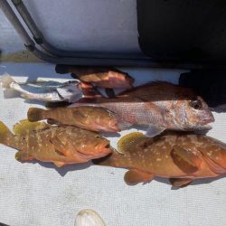 鯛ラバ2022年10回目