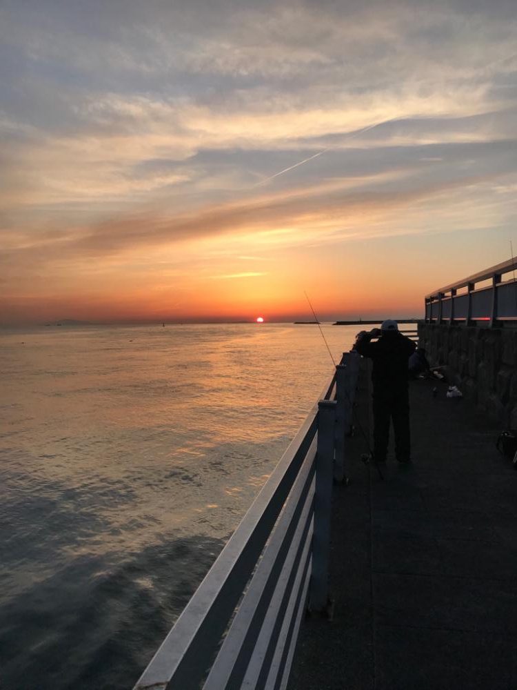 ショアジグサビキ!!