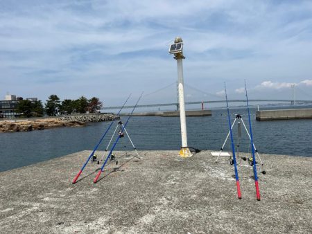 淡路島のカレイ