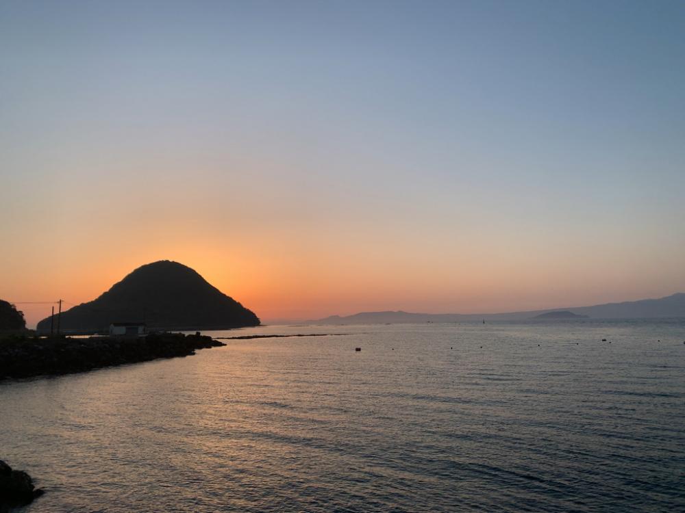 イカ釣れずタコががり