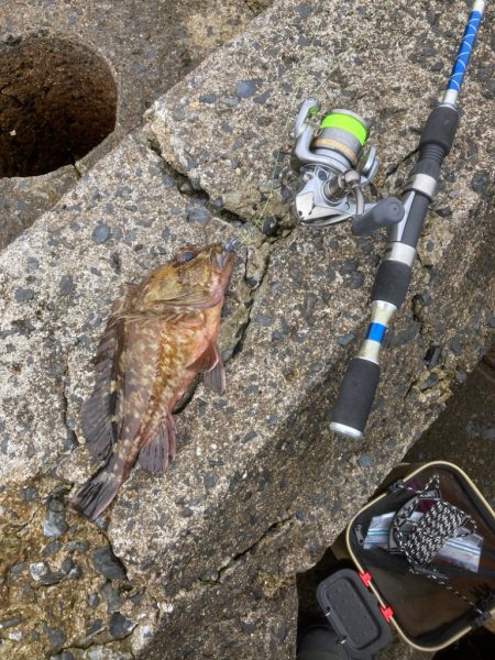 穴釣り　10回目