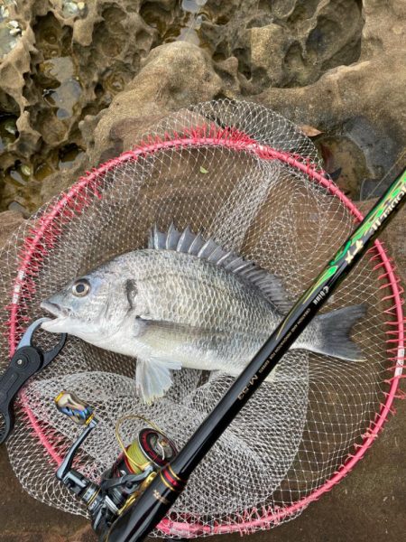 雨にも負けず❗️…