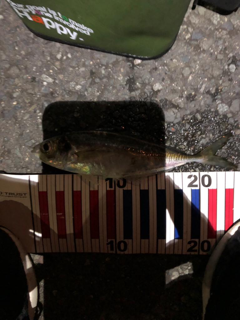 仕事終わってランガン！