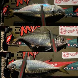 久々のホームグラウンドわ