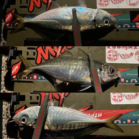 久々のホームグラウンドわ