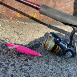 まさかの、、、⁉︎