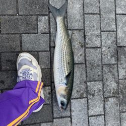 海の嫌われ者…