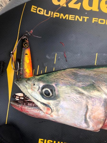 公式公認　初投稿