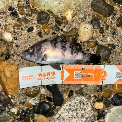 シーズン終盤？