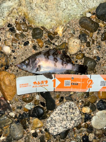 シーズン終盤？