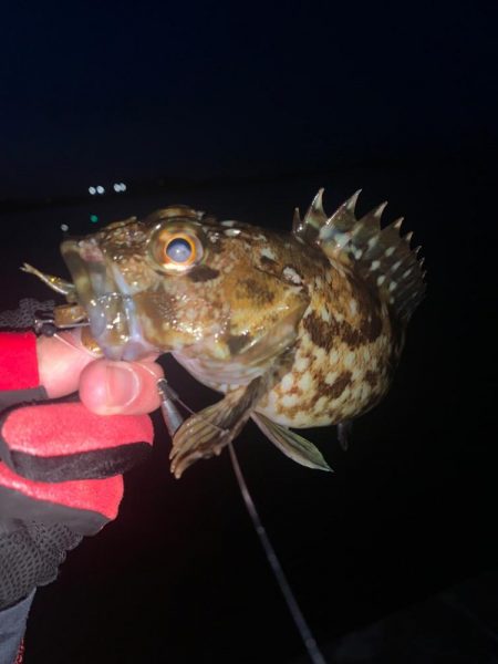 ボトム調査へ〜