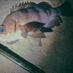 フロートゲーム