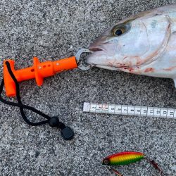 もぉ？ネイリさん！