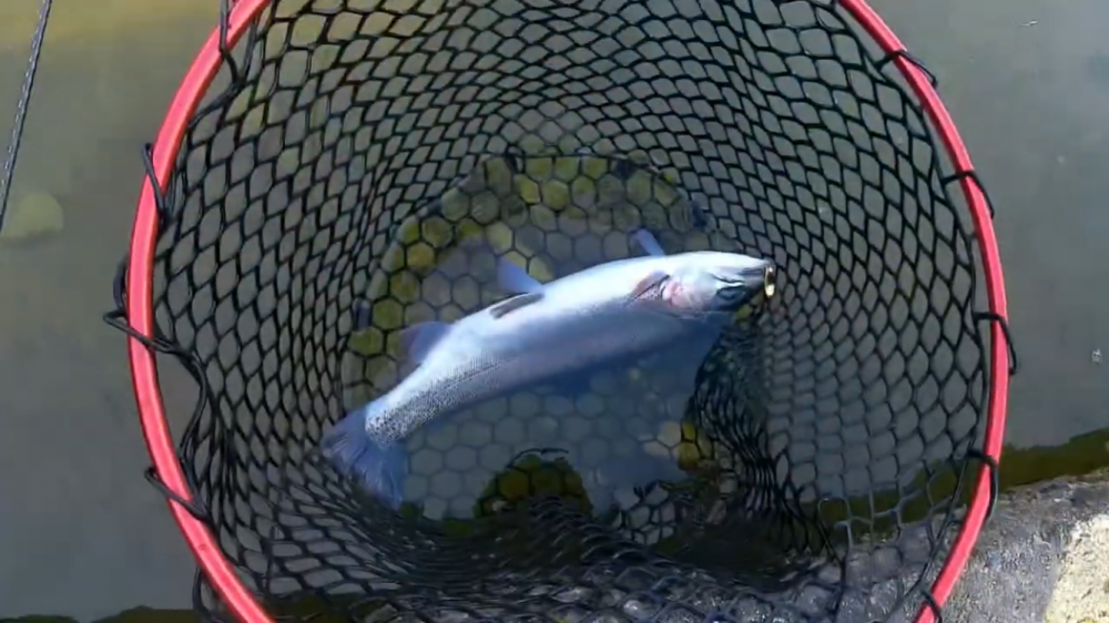 初フィッシングレイク高宮！