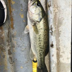 桜池でプチ春爆！？