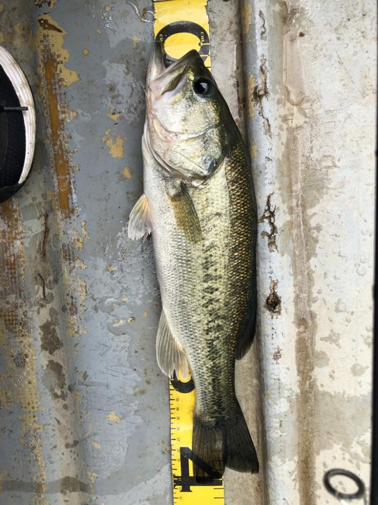 桜池でプチ春爆!?