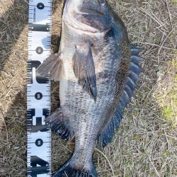 爆風にツキあり！