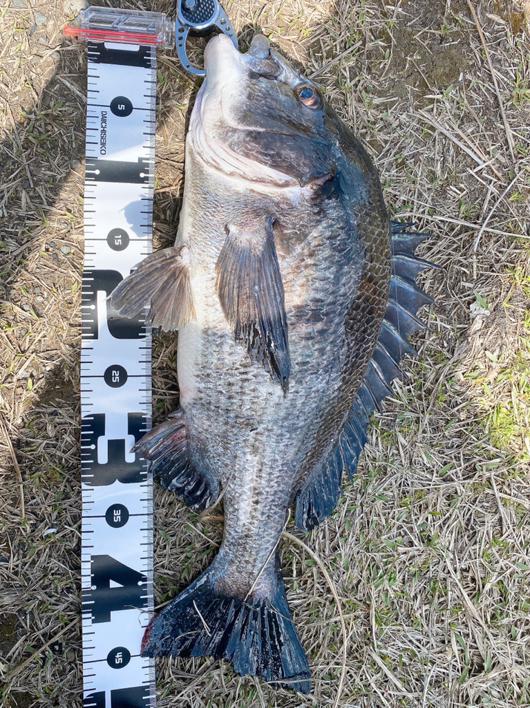 爆風にツキあり!