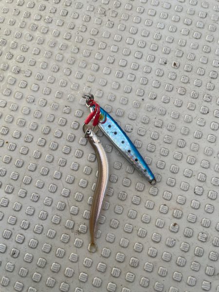 明石沖ジギング