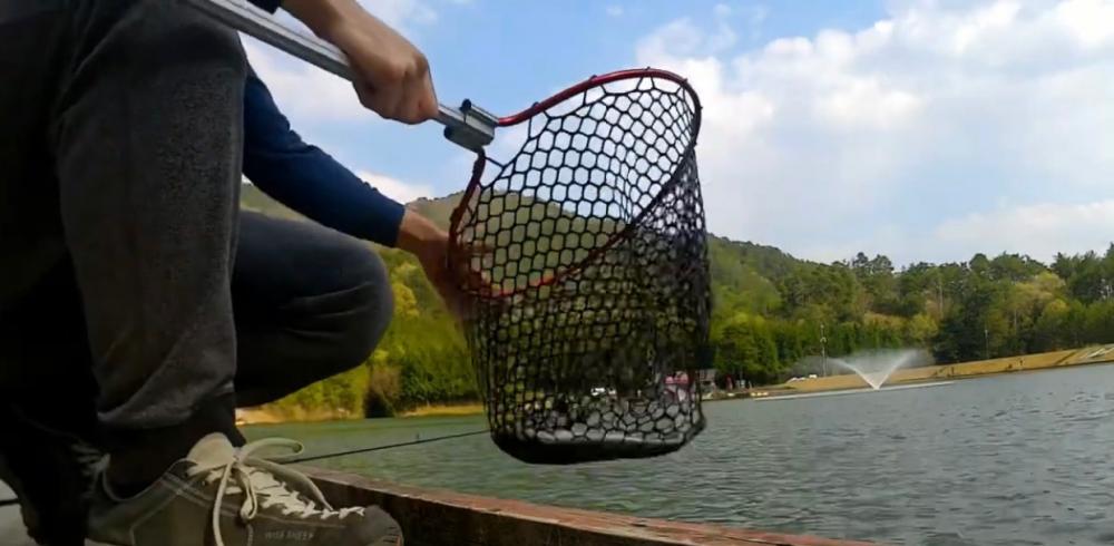 しごおわ癒しのトラウト