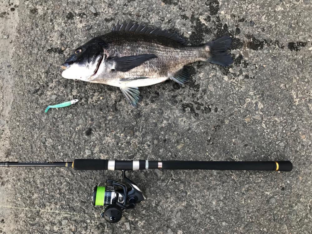 最後の最後におチヌ様