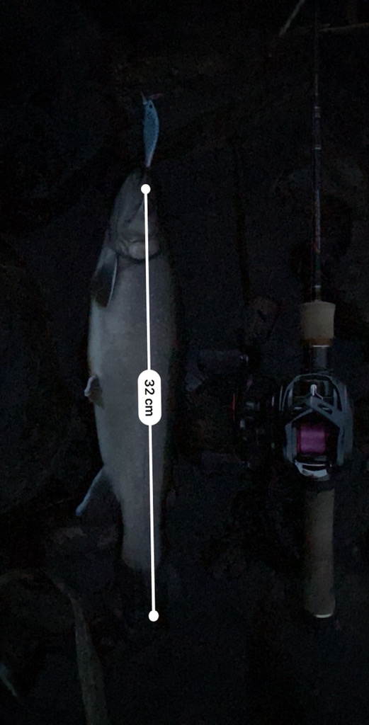 尺か泣き尺か？