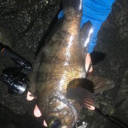 久しぶりの良い釣りでした