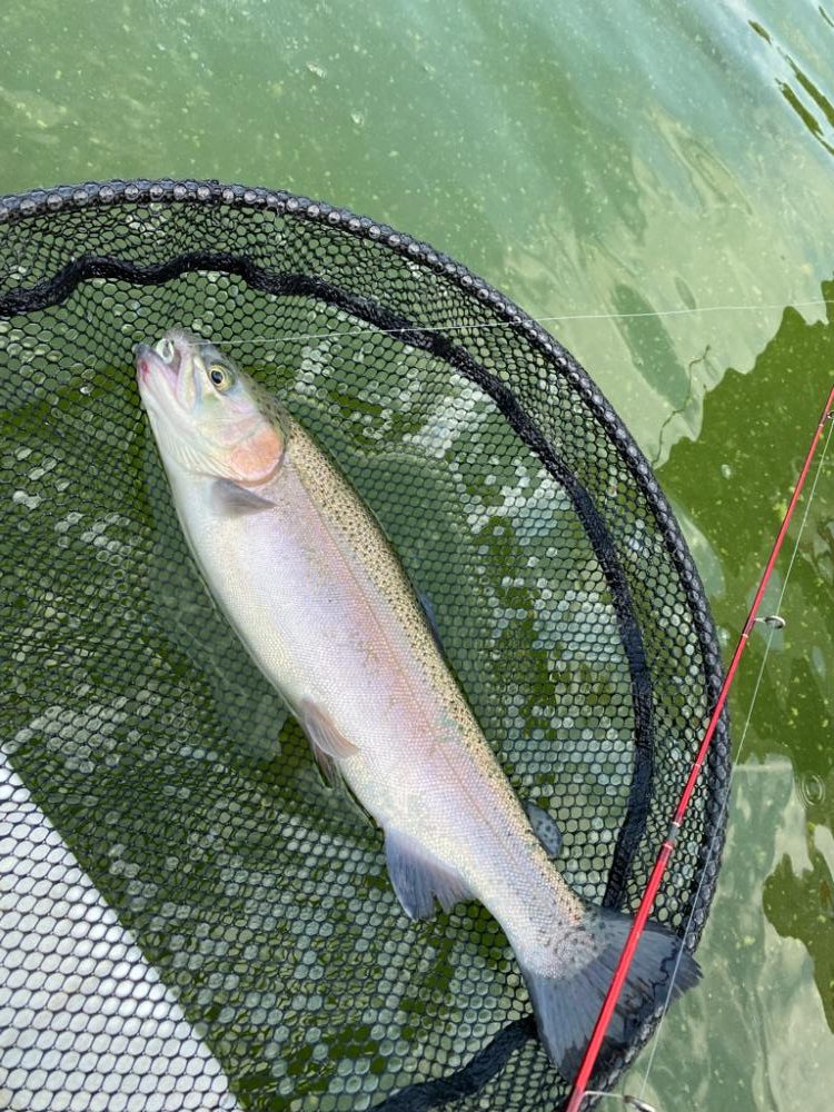 服部緑地ウォーターランド