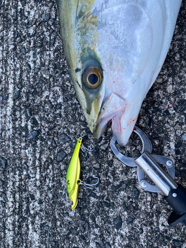 南港ショアジギング2