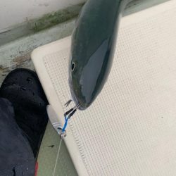 初のオフショアジギングへ