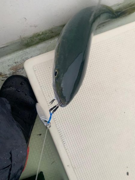 初のオフショアジギングへ