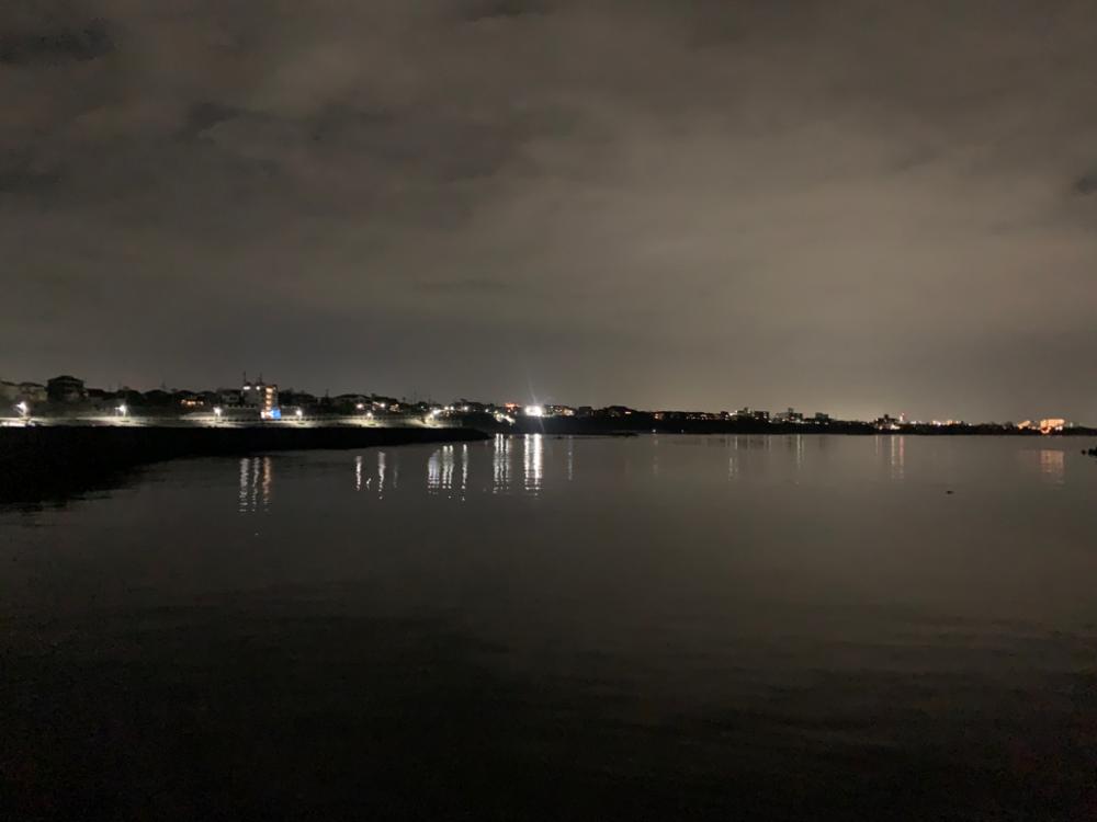 タコ①(手長だこ)