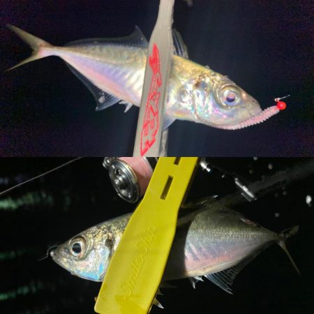 ポイントに合った釣り方