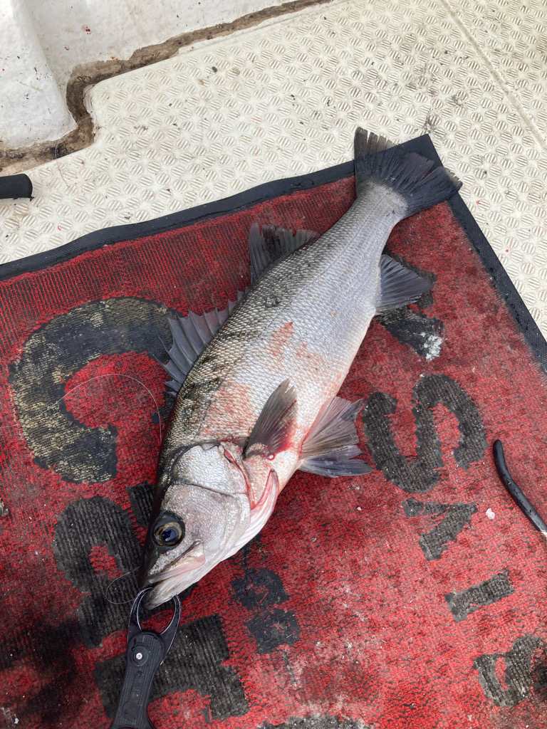 キャスティング